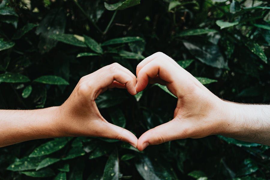 Two hands forming a heart shape against green leaves